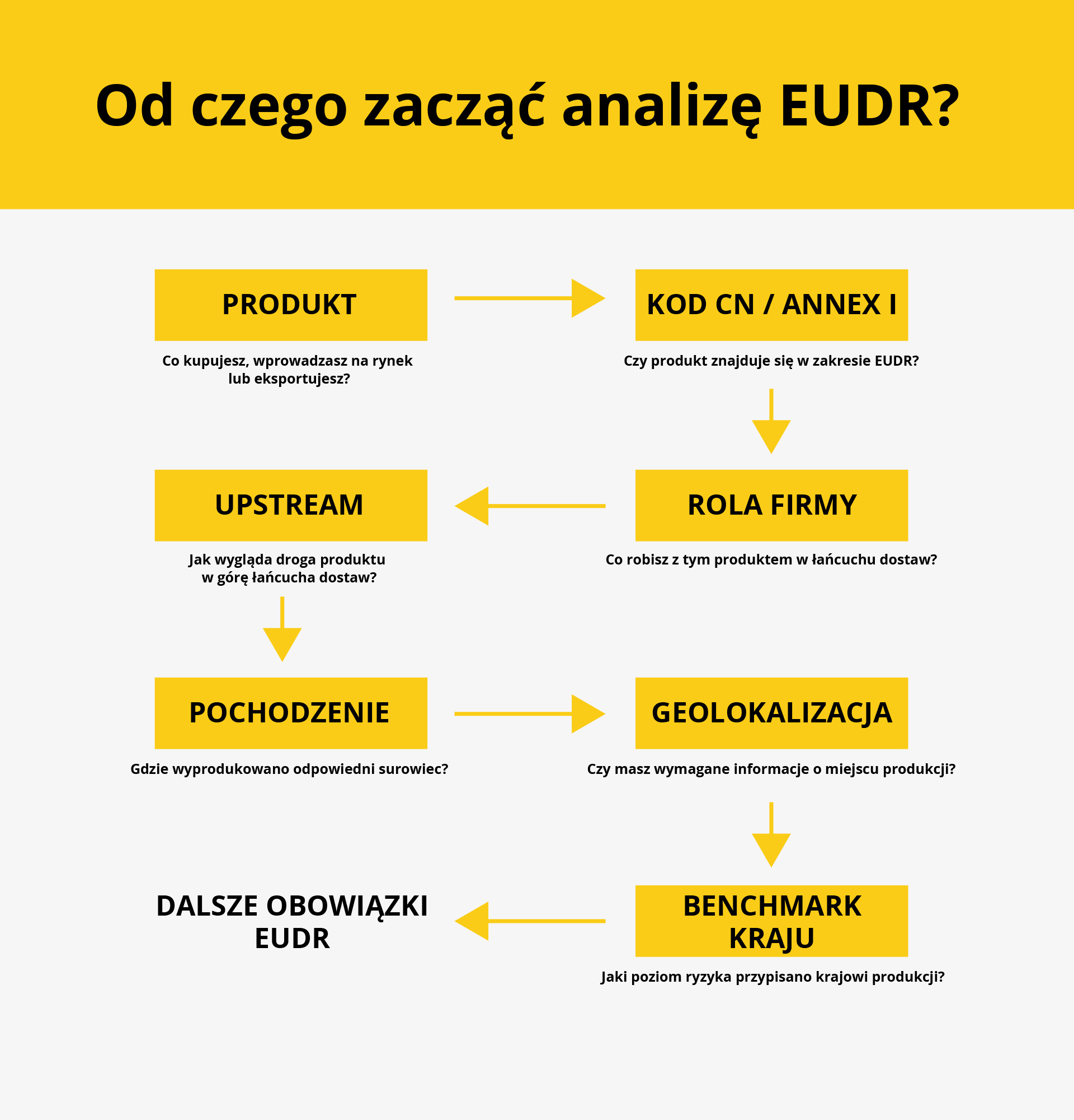 Etapy wstępnej analizy EUDR: produkt, kod CN i załącznik I, rola firmy, łańcuch upstream, miejsce produkcji, geolokalizacja i benchmarking kraju.
