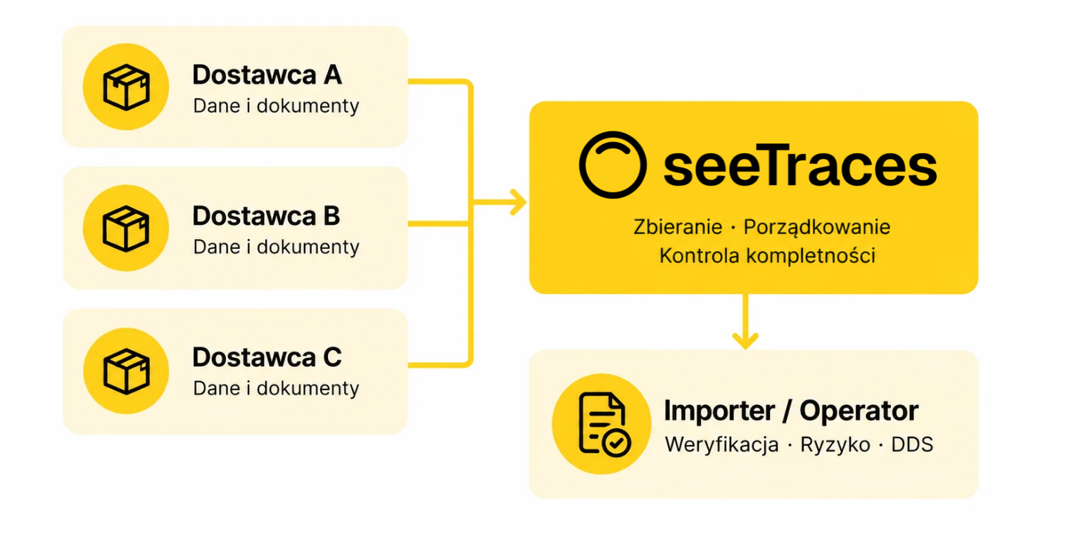 Od obowiązków do sprawnego wdrożenia